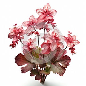 Red flowers, which are arranged in an artistic manner. There is also small plant placed next to vase. The arrangement