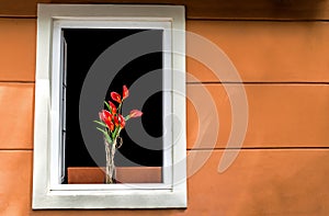 Red flowers at white window whit orange wall