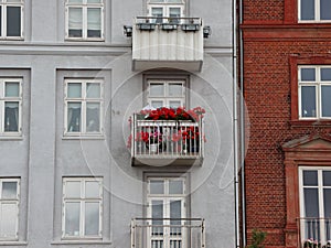 Red Flowers in Window Box at Balcony on Facade