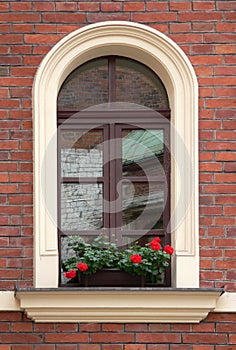 Red flowers on window in a old brick house