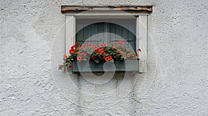 Red flowers in a wooden window box on a rustic white wall