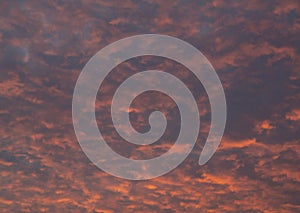 Red fluffy sunset clouds over blue sky