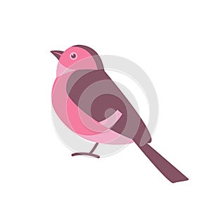 Red  flycatcher bird, vector illustratio, flat style, side