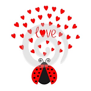 Red flying lady bug insect with hearts. Cute cartoon character. Word Love Greeting card. Happy Valentines Day. White background. F