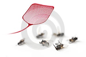 Red flyswatter and dead flies isolated on a white background, c photo