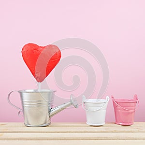 The red foiled chocolate heart stick with small silver watering can