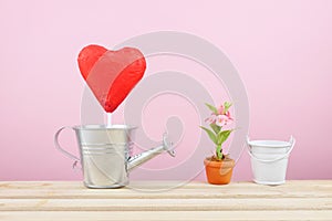 The red foiled chocolate heart stick with small silver watering can