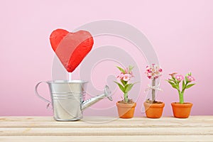 The red foiled chocolate heart stick with small silver watering can and mini fake flower in brown plant pot on wooden tray