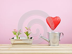 The red foiled chocolate heart stick with small silver watering can