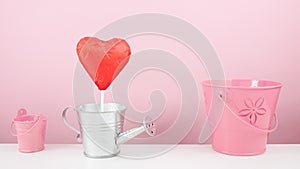 The red foiled chocolate heart stick with small silver watering can and small pink bucket