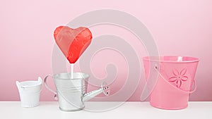 The red foiled chocolate heart stick with small silver watering can and small pink bucket