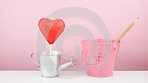 The red foiled chocolate heart stick with small silver watering can and small pink bucket