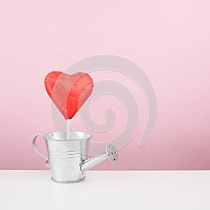 The red foiled chocolate heart stick with small watering can