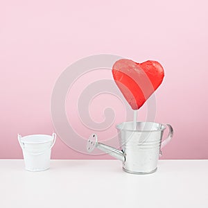 The red foiled chocolate heart stick with small watering can