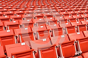 Red folding chairs lined on the stadium sport