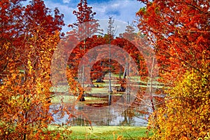 Red Foliage at Lake Conway in Central Arkansas