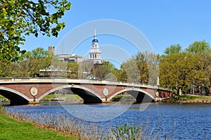 Red Footbridge and Blue Dome photo