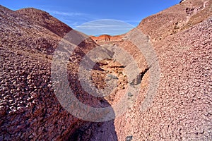 Red Forest Canyon at Petrified Forest AZ