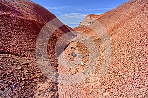 Red Forest Canyon at Petrified Forest AZ