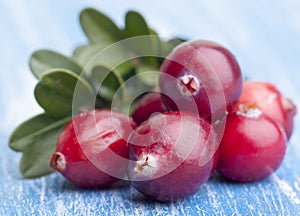 Red forest cranberries