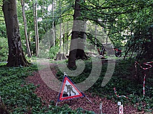 A red forest tractor clearing the forest from old trees in a green summer forest. The road to it is closed with a prohibitory sign