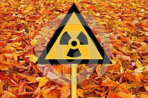 Red Forest, yellow sign warning the nuclear risk in Chernobyl area in Ukraine, message about the danger of exposure to a high dose