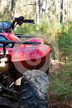 Red Four Wheeled ATV in the Forest