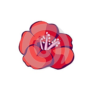 Red fowers isolated vector illustration