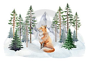 Red fox animal in winter forest landscape. Watercolor illustration. Wild cute fox in winter scene. Wildlife animal with