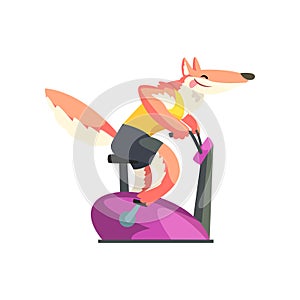 Red fox exercising on stationary bike wearing sports uniform, sportive animal character, fitness and healthy lifestyle