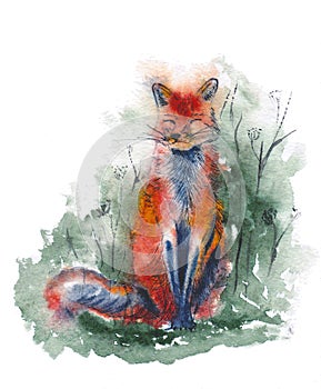 Red fox in forest. Watercolor illustration. Cute sitting animal.