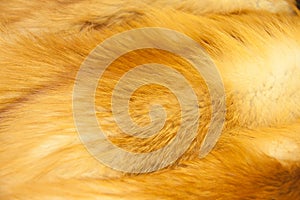 Red fox fur