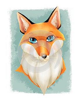 Red fox head front view illustration