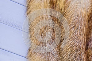 Red fox skin on a gray wooden background. Beautiful fur of a red fox