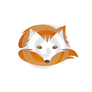 Red fox with tail. Negative space. Vector illustration.