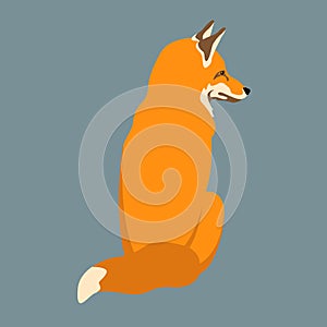 Red fox vector illustration style Flat