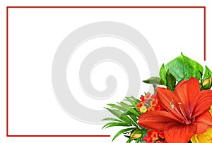 Red frame and amaryllis and yellow rose flowers and green tropical leaves in a corner floral arrangement isolated