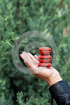 Red french macaroon cookies from hazelnut flour with salted caramel and lemon Kurd on hand, outdoors, green background. Soft