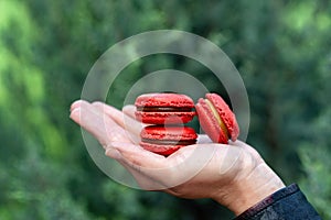 Red french macaroon cookies from hazelnut flour with salted caramel and lemon Kurd on hand, outdoors, green background. Soft