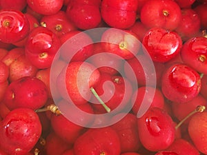 red and fresh cherries, summer fruits