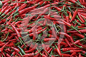 Red fresh chilli pepper background close up. Red chilli pepper in the street market