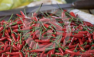 Red fresh chilli pepper background close up. Red chilli pepper in the street market. Spicy ingredient