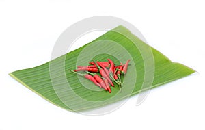 Red fresh chillies on banana leaves against white background