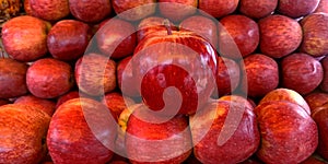 Red fresh organic produce apple stock kept into fruit store