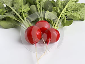 Red fresh radish, ingredient for a healthy salad