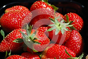 Red fresh ripe garden strawberries