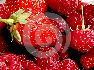 Red and fresh strawberries and raspberries