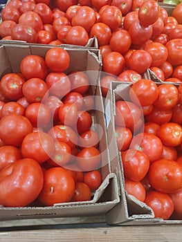 Red fresh tomatoes in boxes on the counter of the   market