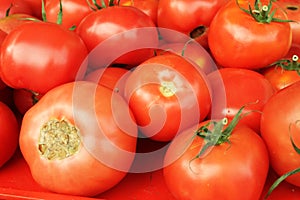 Red fresh tomatoes in the market