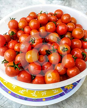 Red fresh tomatto in bowl